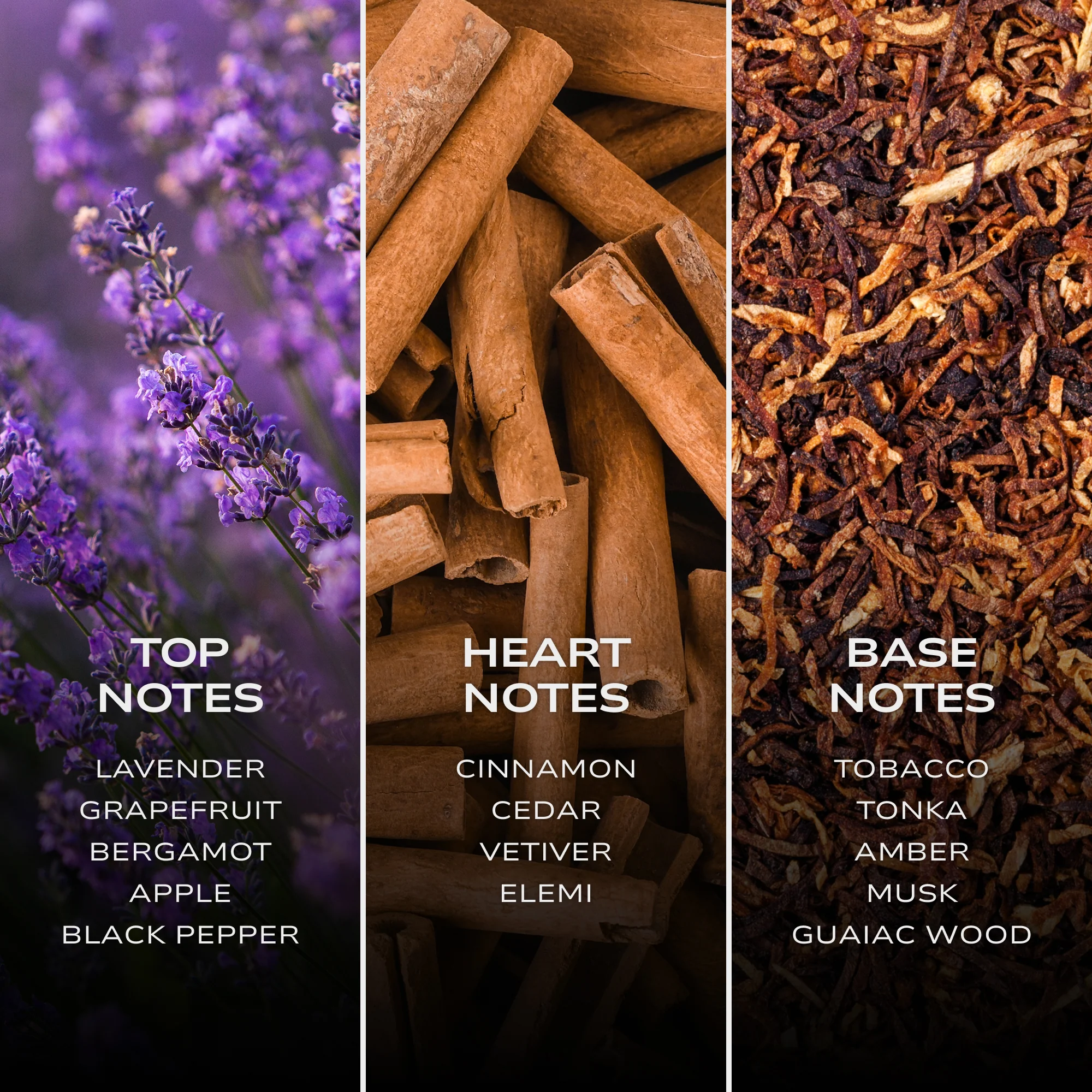 INTELLIGENT Argon - Image 5