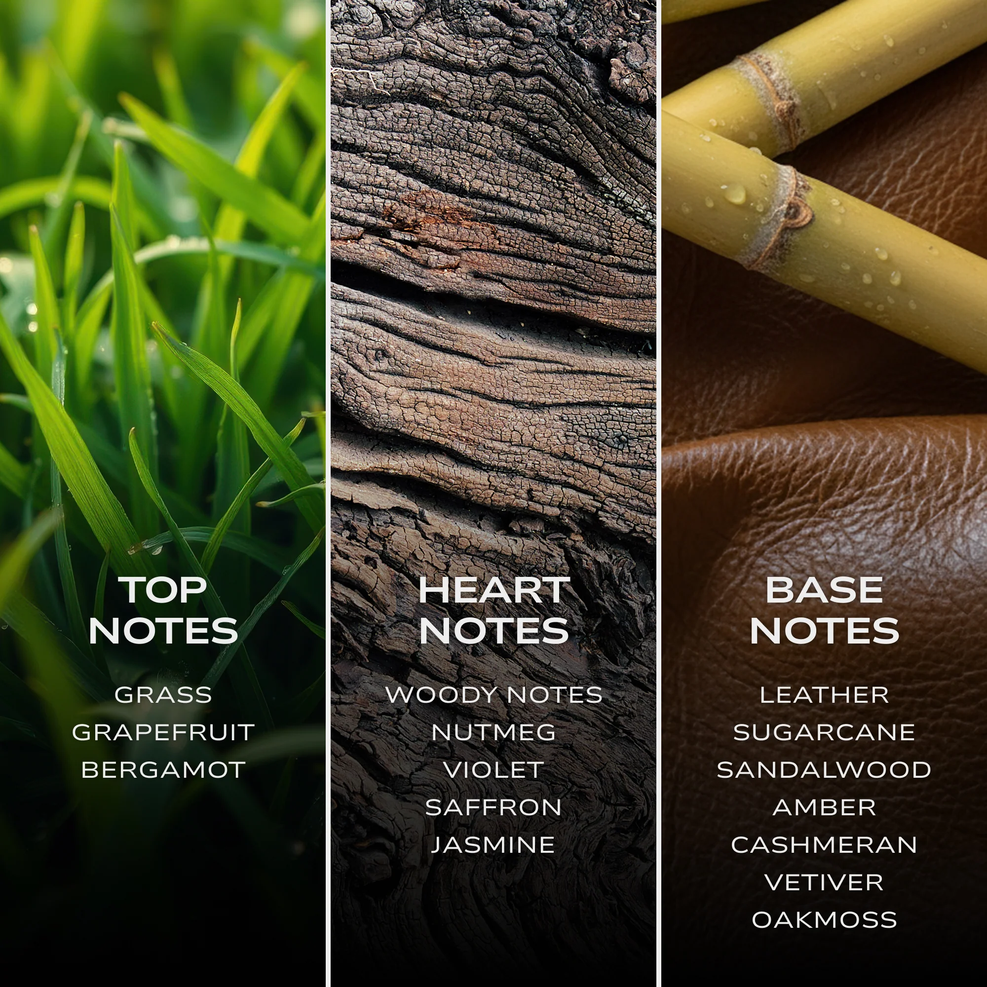 INTELLIGENT Carbon - Image 6