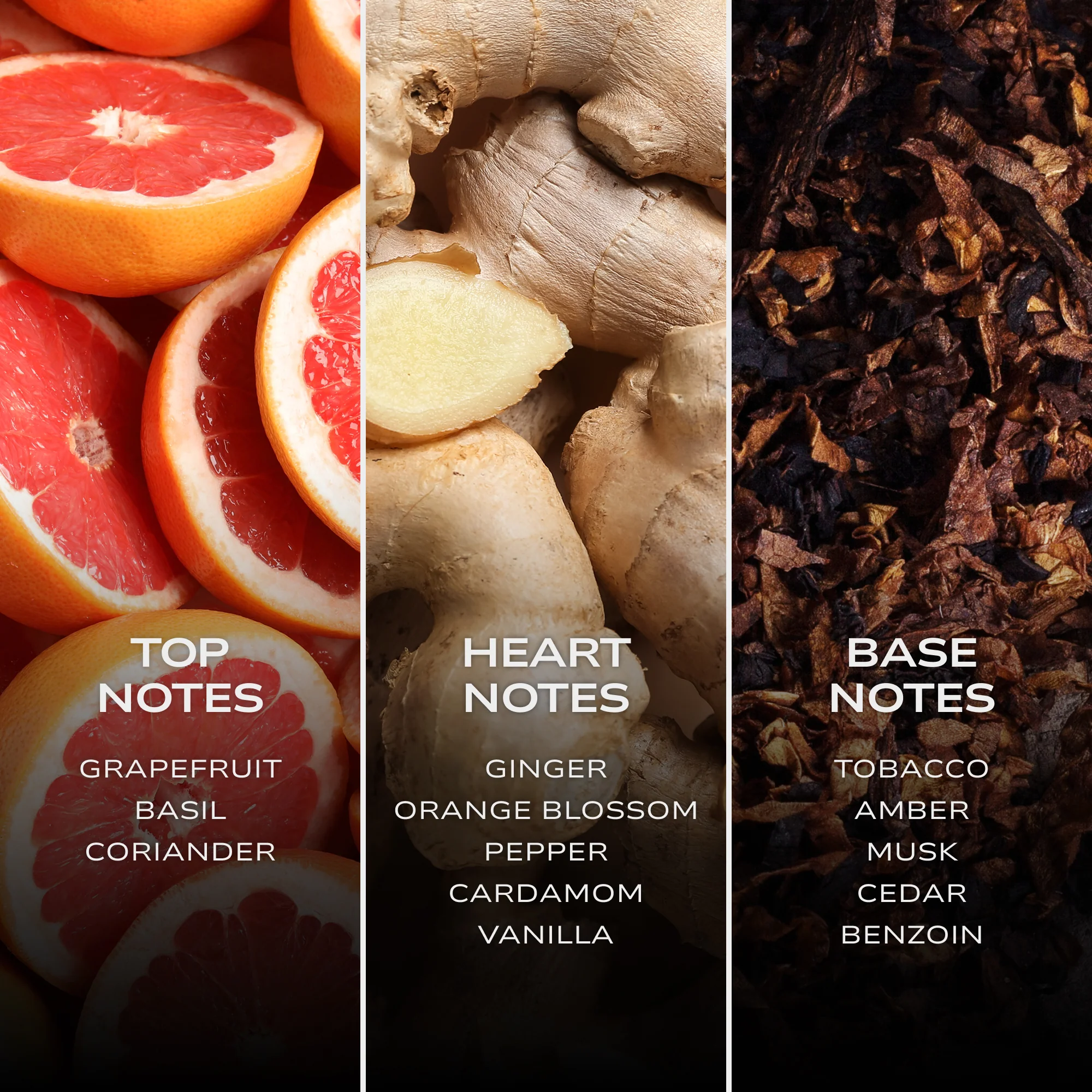 INTELLIGENT Gold - Image 5