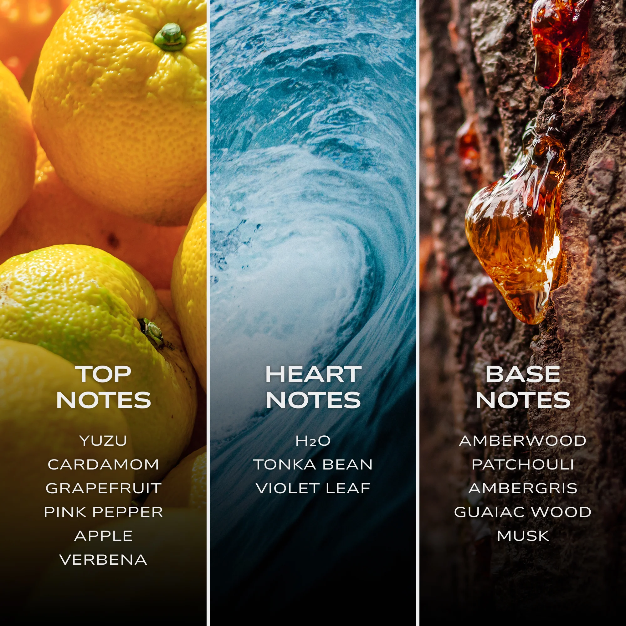 INTELLIGENT H2O - Image 5