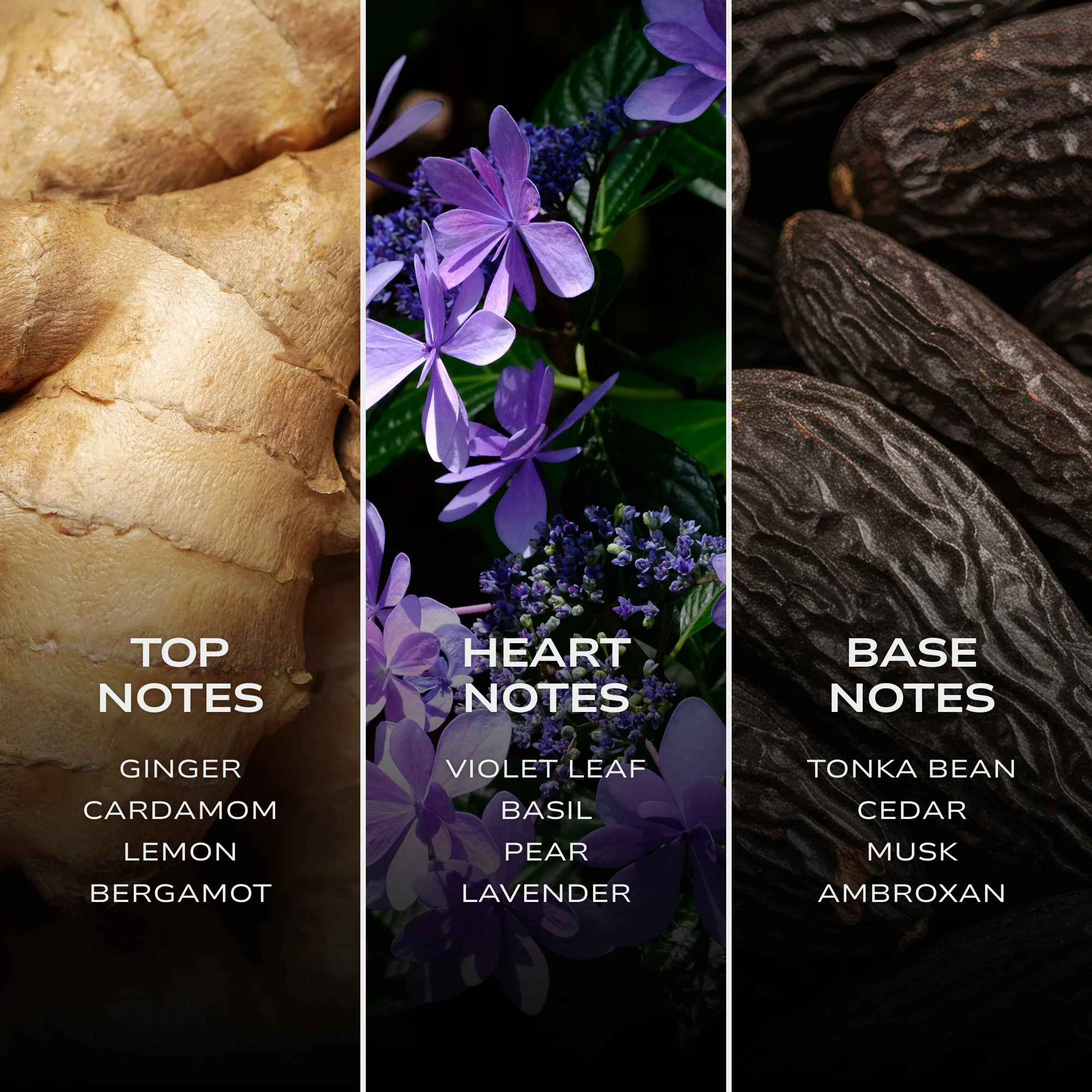 INTELLIGENT Hydrogen - Image 6