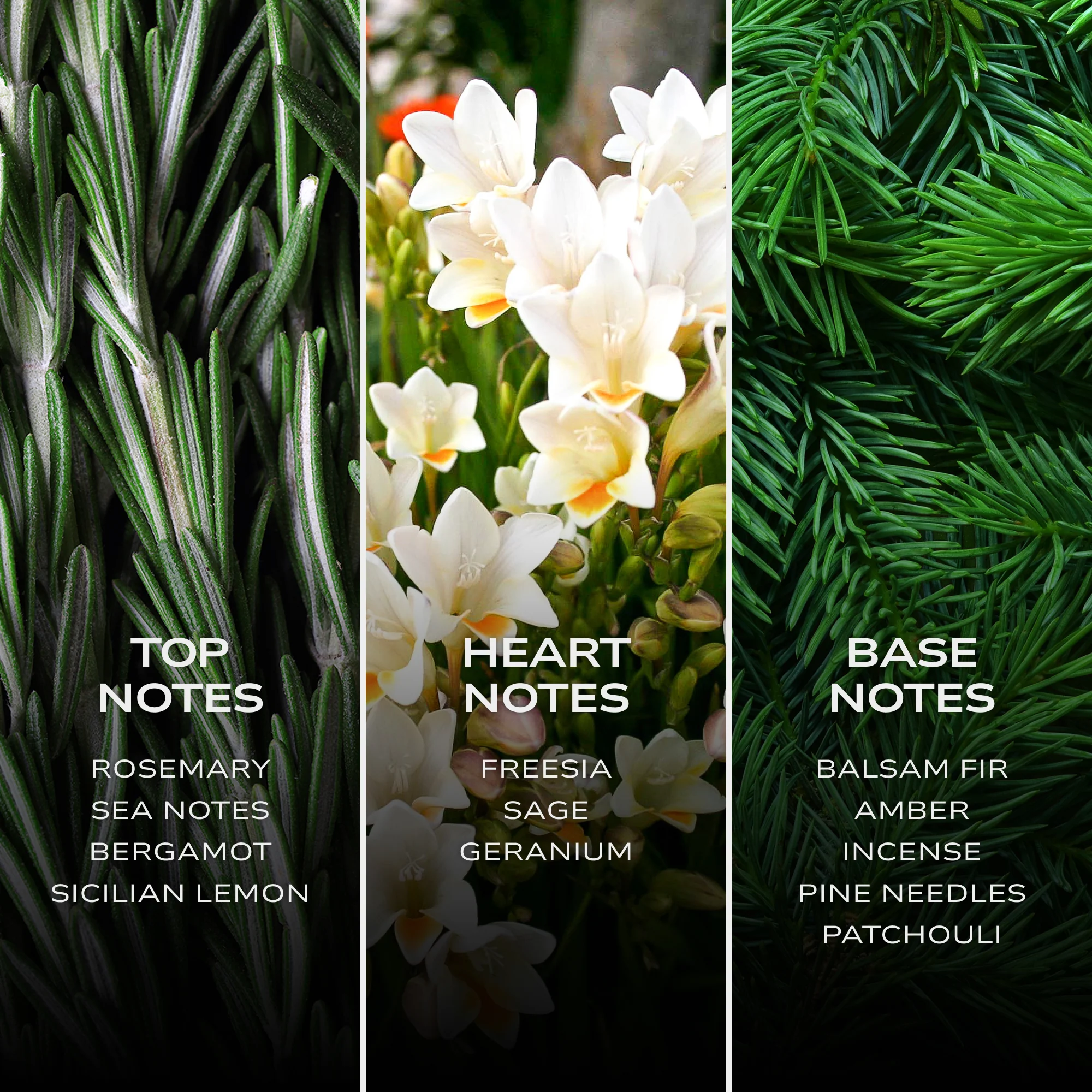 INTELLIGENT Iron - Image 6