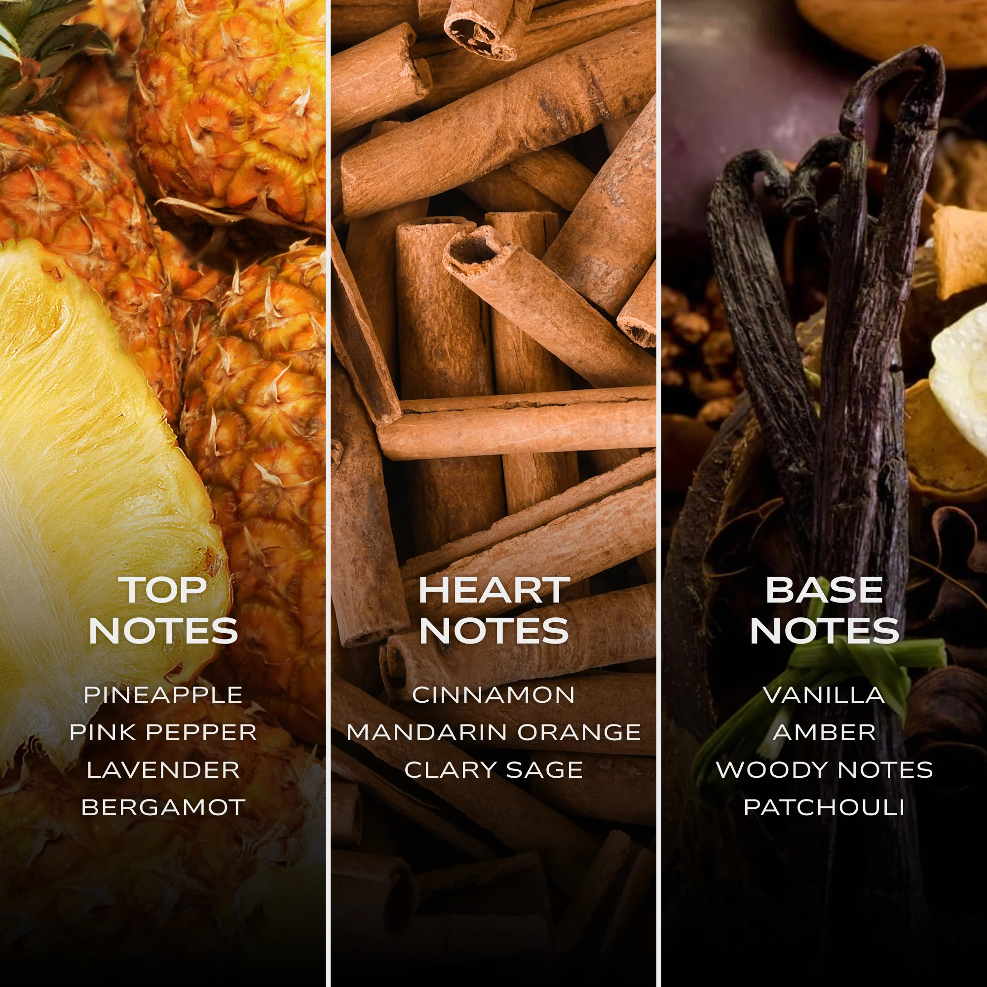 INTELLIGENT Platinum - Image 5