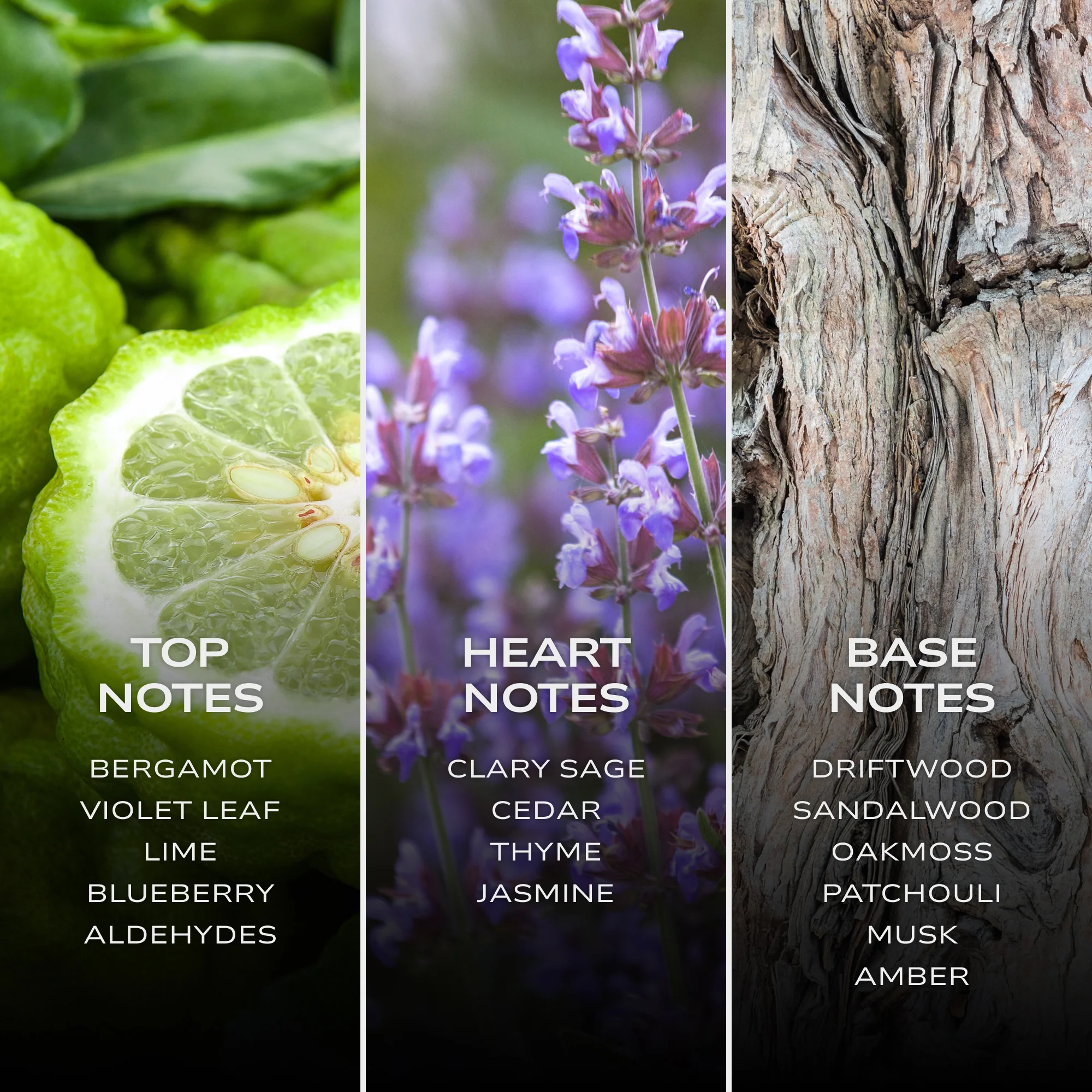 INTELLIGENT Neon - Image 6